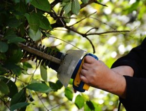 service personne jardinier