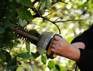 service personne jardinier