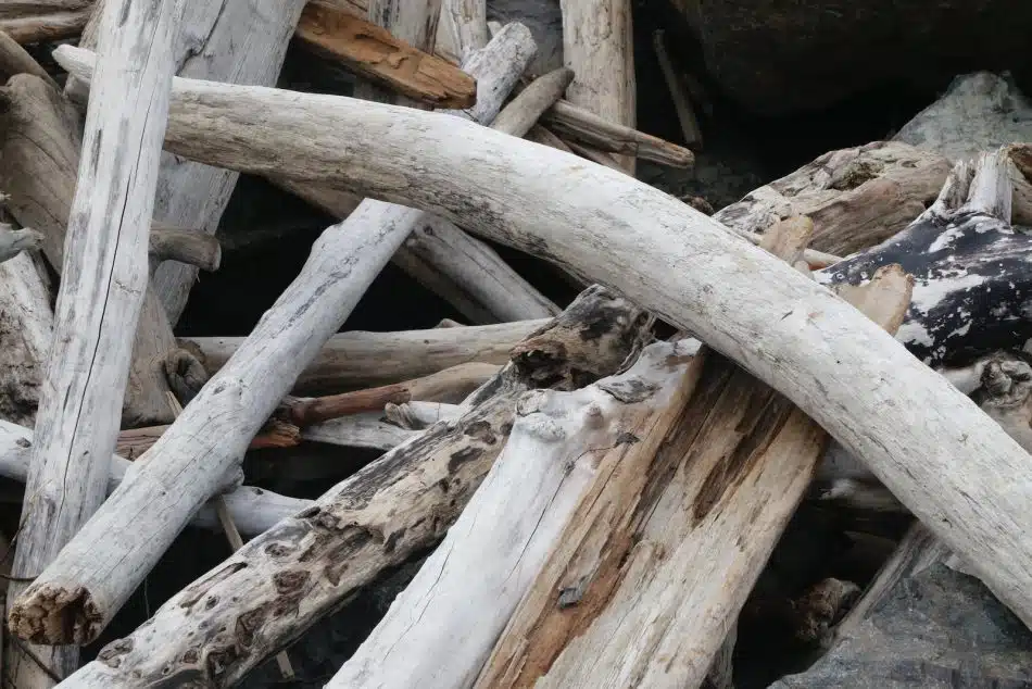 brown wood log with white snow