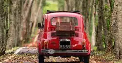 Votre auto est à la fourrière ? Nos conseils pour la récupérer illico !